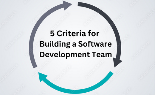5 Criteria for Building a Software Development Team_500.png